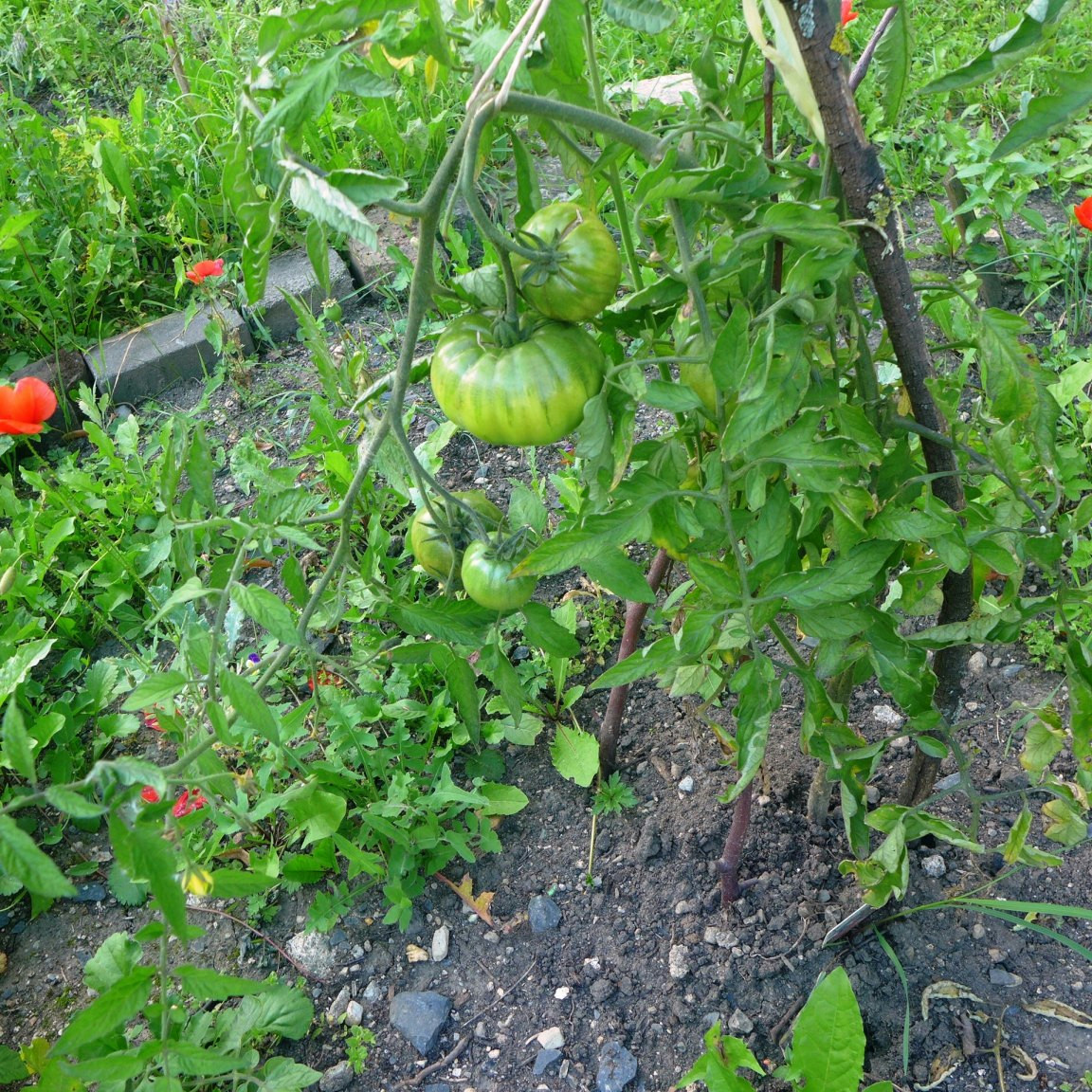 p1020783
