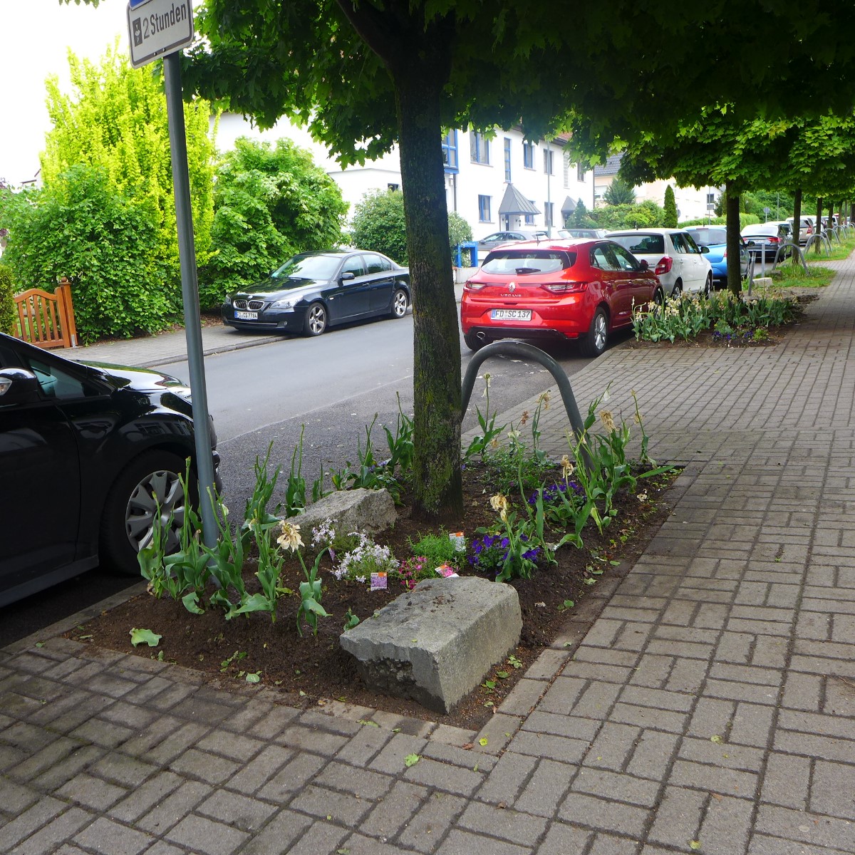 Frühling 2017