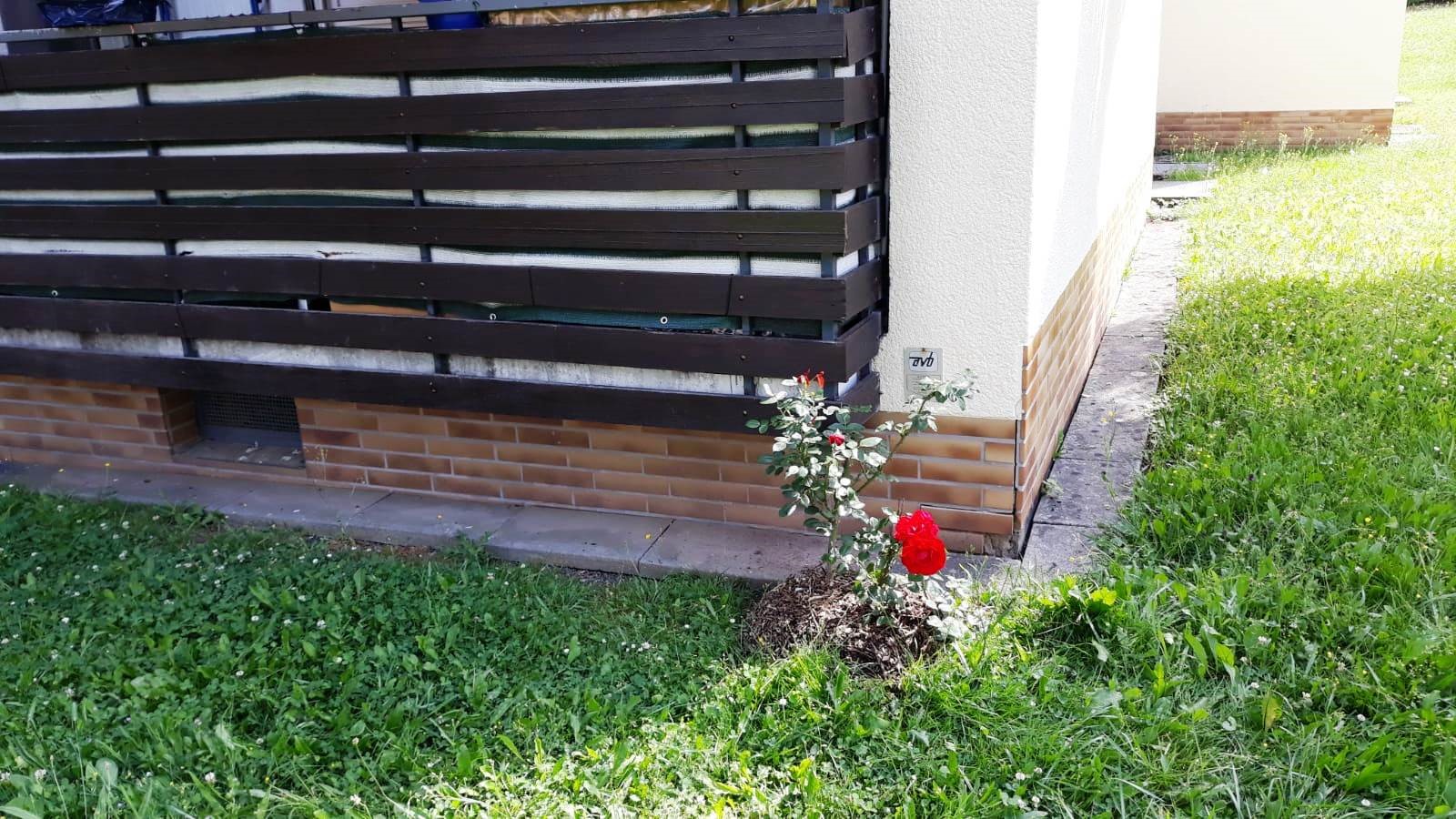 img-20180614-wa0016.jpg