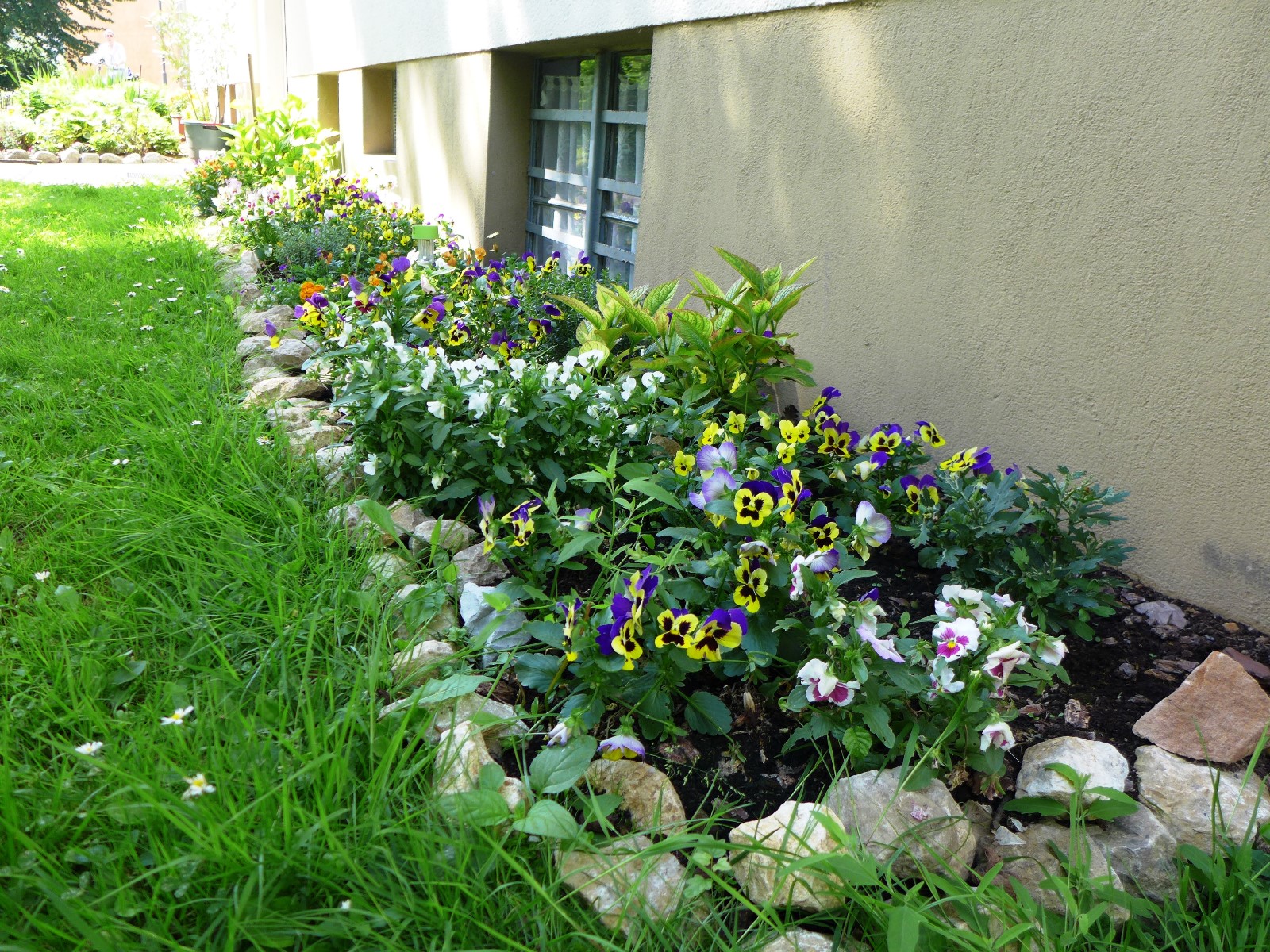 p1070018.jpg