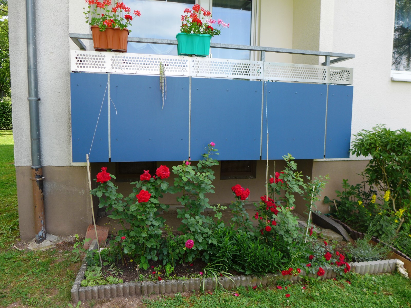 p1070034.jpg