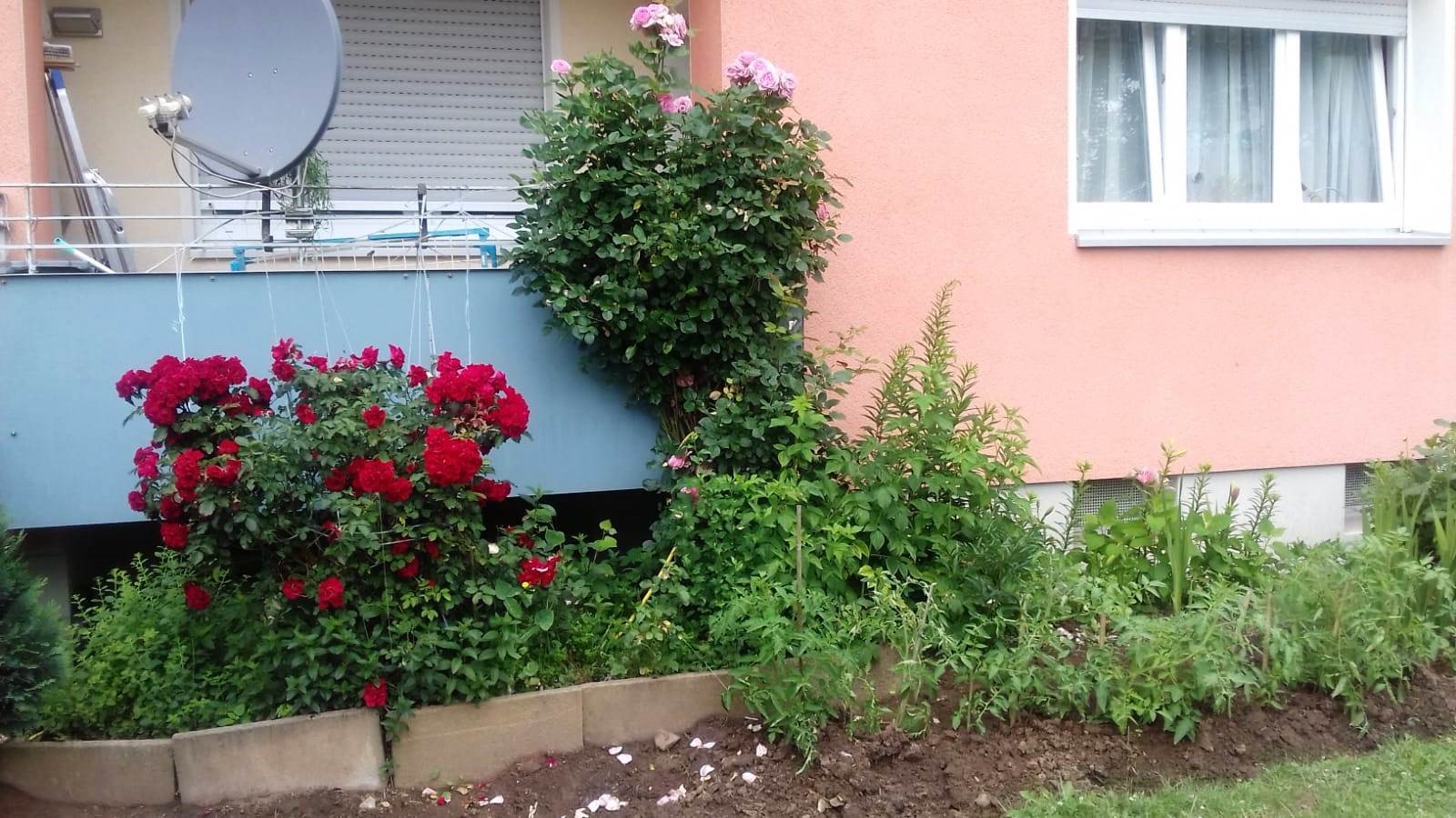 Nr.10 - Irma Gelwer - Dr.-Kopp-Str.