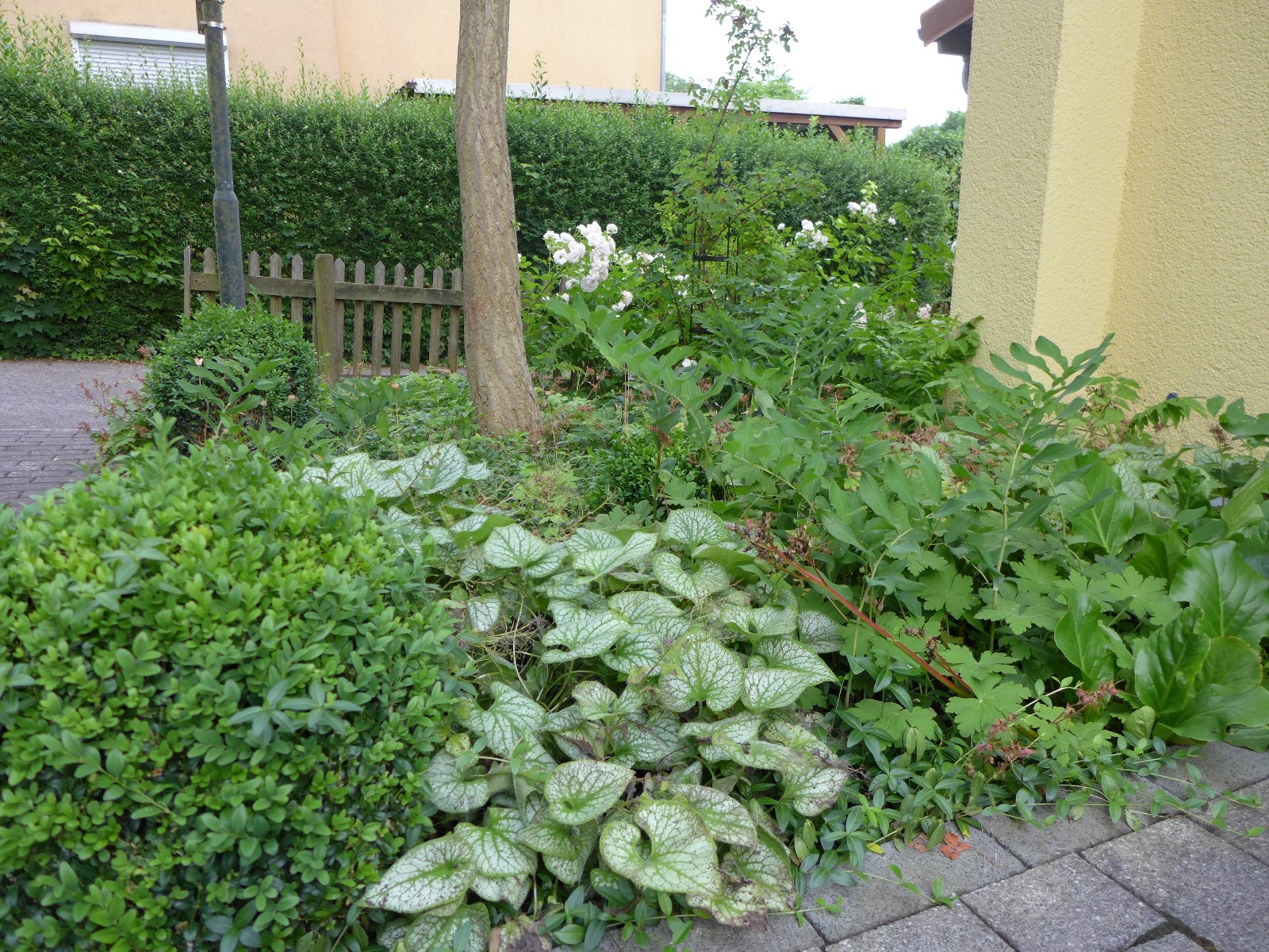 Nr.1 - Frau Stein - Adalbert-Stifter-Str.