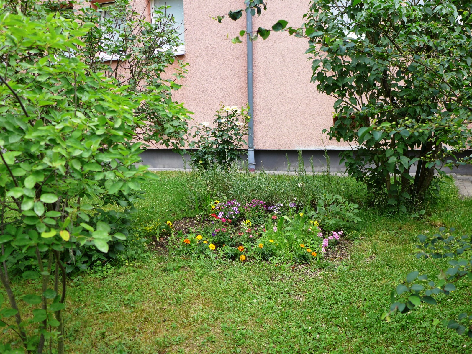 Nr. 18 - Herr Uzunca - Friedrich-Stengel-Str.