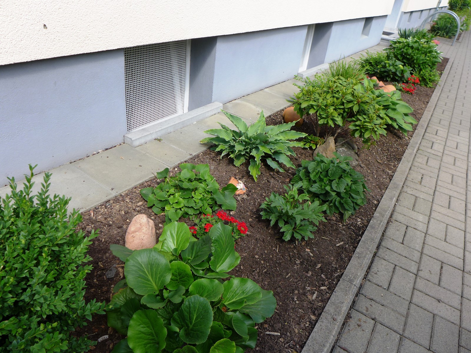 Nr.6 - Frau Bosold - Dr.-Kopp-Str.