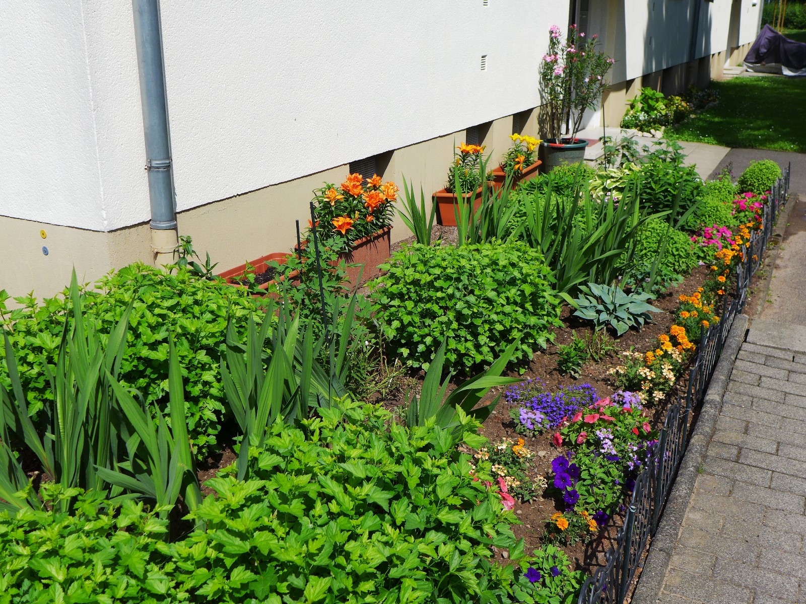 Nr.15 - Frau Baars - Dr.-Kopp-Str.