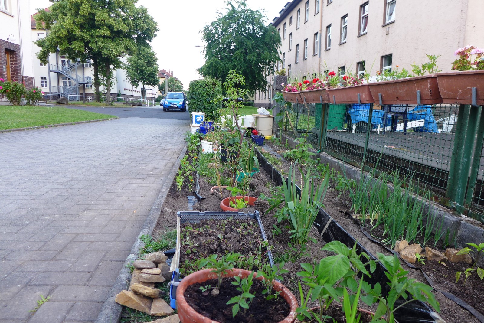 Nr.16 - Ruhsev Bayar - Gallasiniring