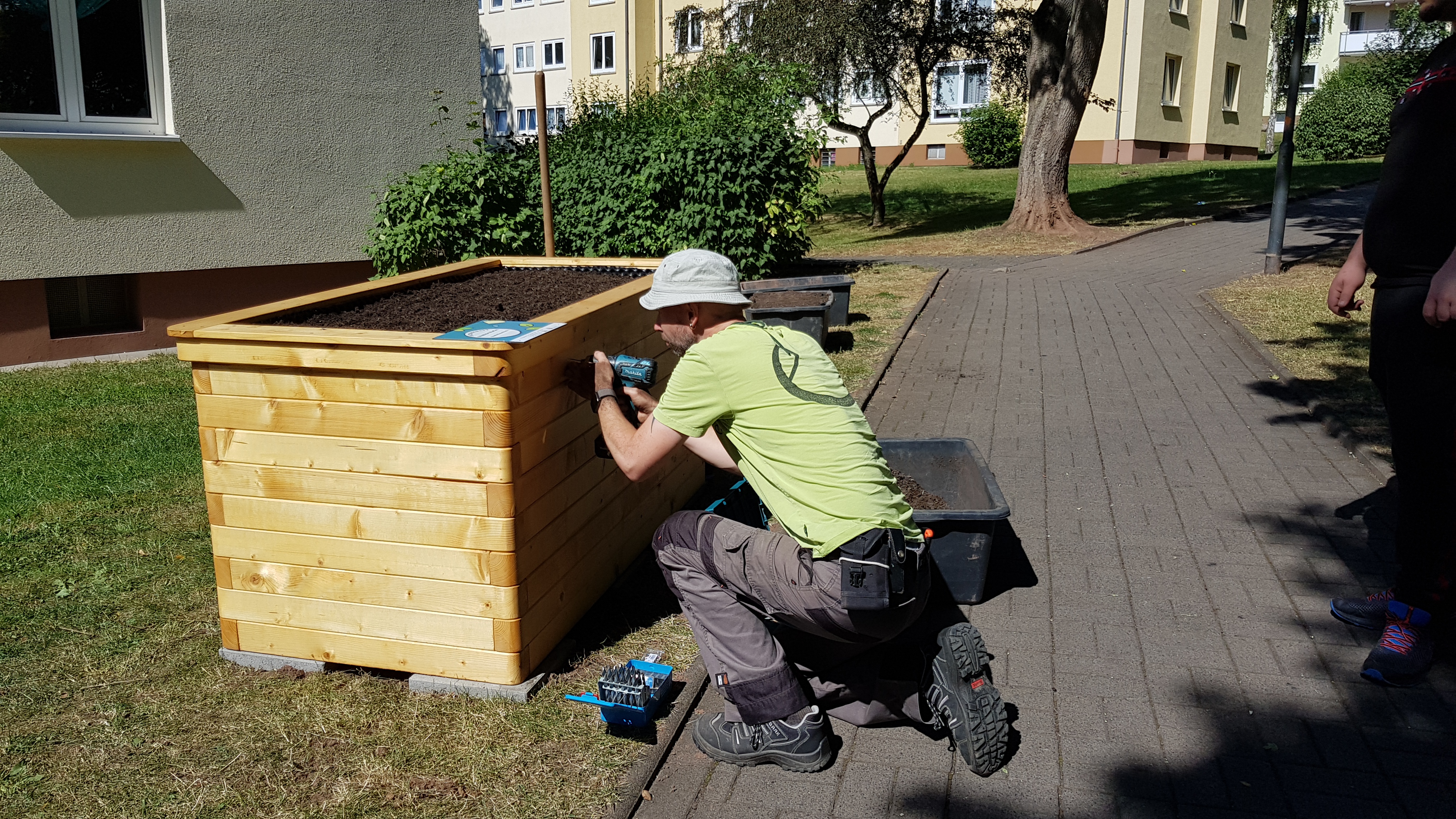 Hochbeete 2 Gertrud le fort weg 2020