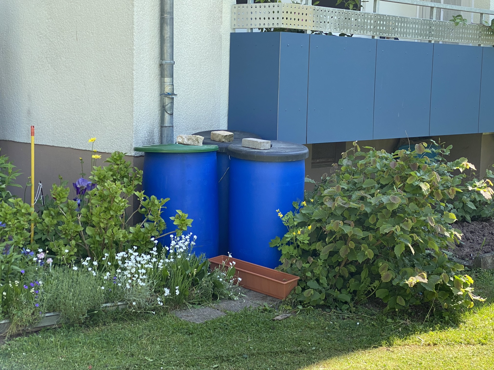 Regenwassernutzung 4 Dr Kopp Str. 29.05.2020
