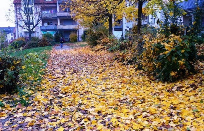 Innenhof wo Spielplatz