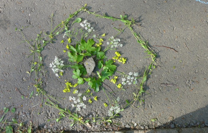 Mandalas der StadtteilEntdecker, 22.05.2019