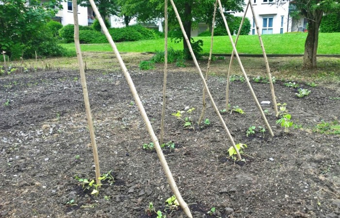 WP_20160525_13_51_58_Pro