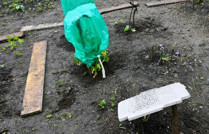 WP_20160601_18_34_34_Pro