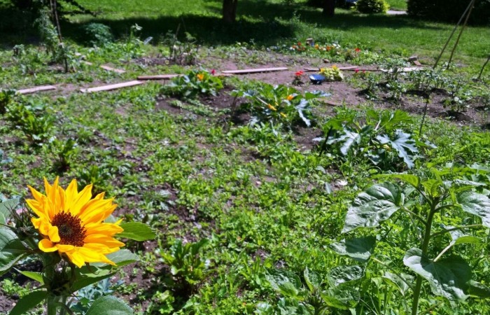 WP_20160707_12_56_34_Pro