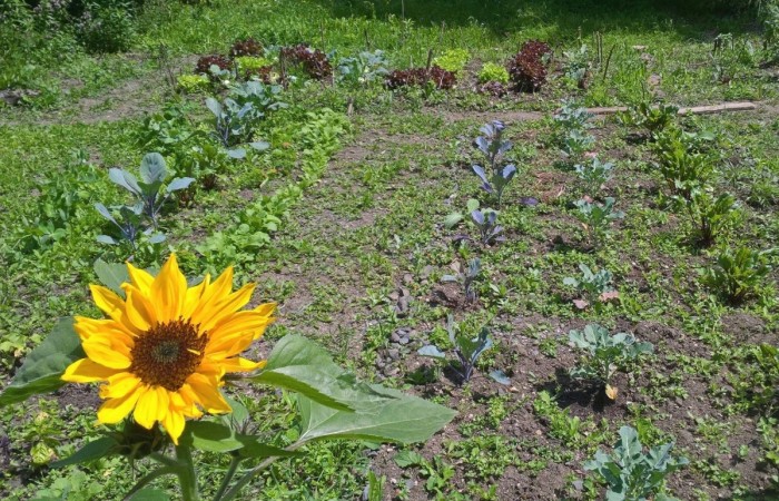 WP_20160707_12_56_48_Pro