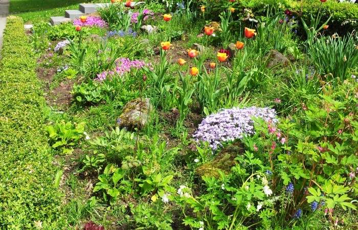 20170516_11062_Vorgarten_Dr Kopp Straße