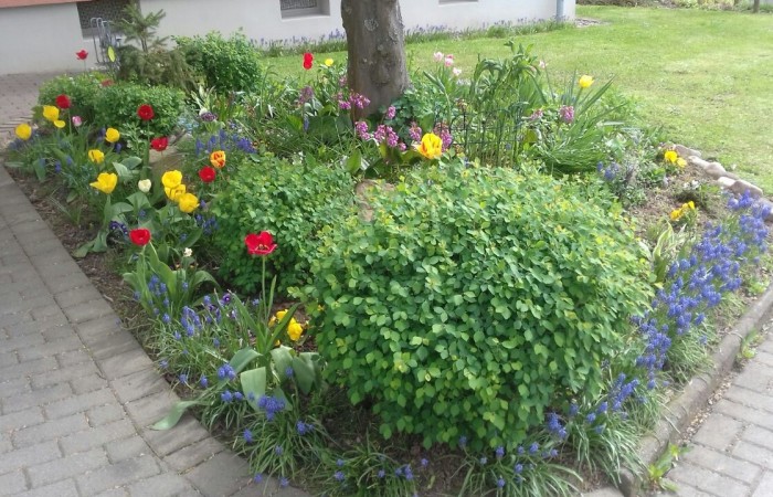 Nr.13 - Lydia Eckhard - Dr.-Kopp-Str.