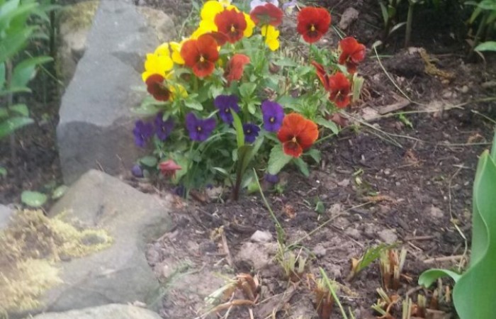 Nr.14 - Irina Litwinov - Dr.-Kopp-Str.