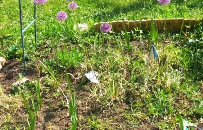 Nr.19 - Gabriele Oswald - Friedrich-Stengel-Str.