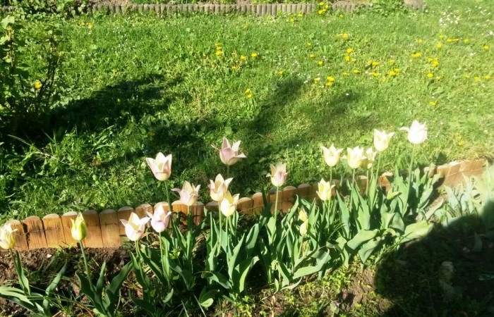 Nr.19 - Gabriele Oswald - Friedrich-Stengel-Str.