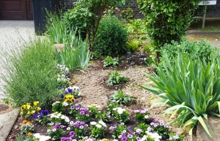 Nr.17 - Bernhard Sczekalla - Gallasiniring