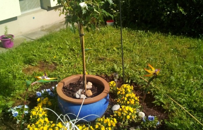 Nr.25 - Monika Weiß - Schillerstr.