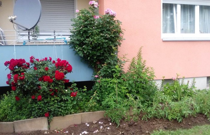 Nr.10 - Irma Gelwer - Dr.-Kopp-Str.