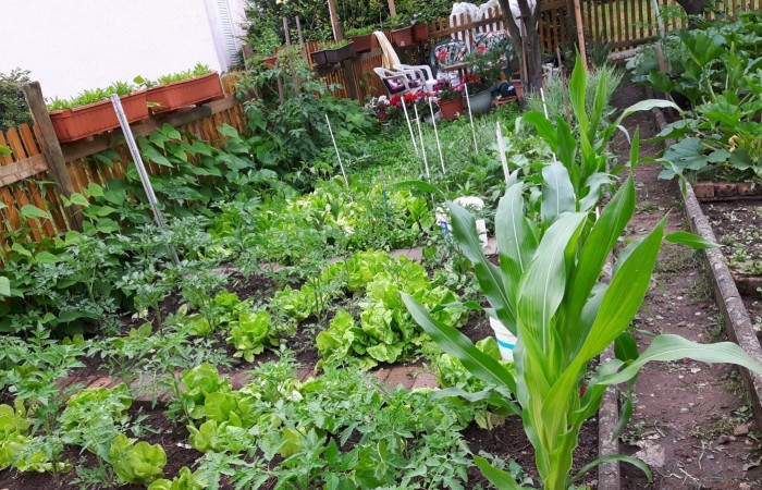 Nr.20 - Zakaria Alkouhla - Am Jagdstein