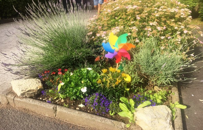 Nr.5 - Mütterzentrum - Gallasiniring