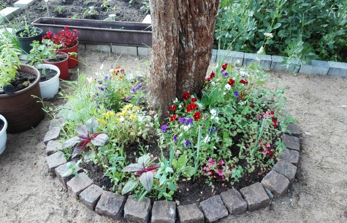 Nr.21 - Diaiddin Kaka - Dientzenhoferstr.