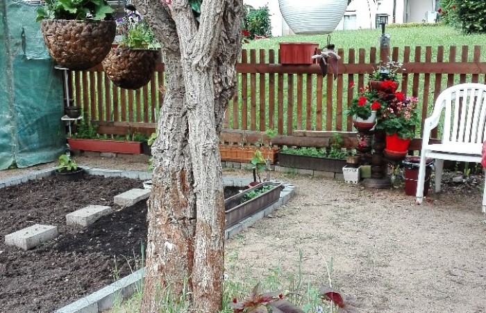 Nr.21 - Diaiddin Kaka - Dientzenhoferstr.