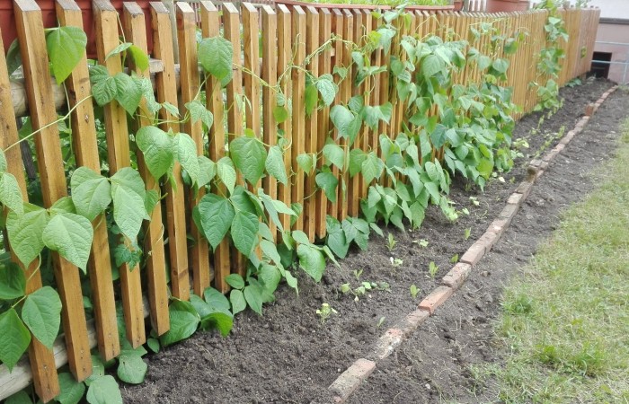 Nr.20 - Zakaria Alkouhla - Am Jagdstein