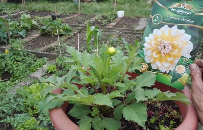 Nr.20 - Zakaria Alkouhla - Am Jagdstein