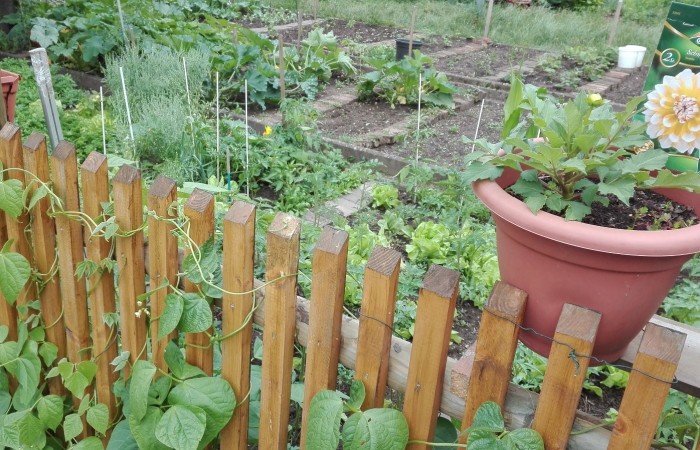 Nr.20 - Zakaria Alkouhla - Am Jagdstein