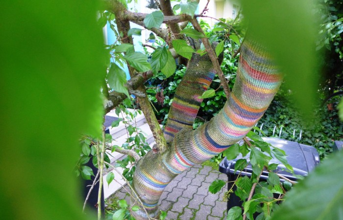 Nr.2 - Familie Voigt - Schillerstr.