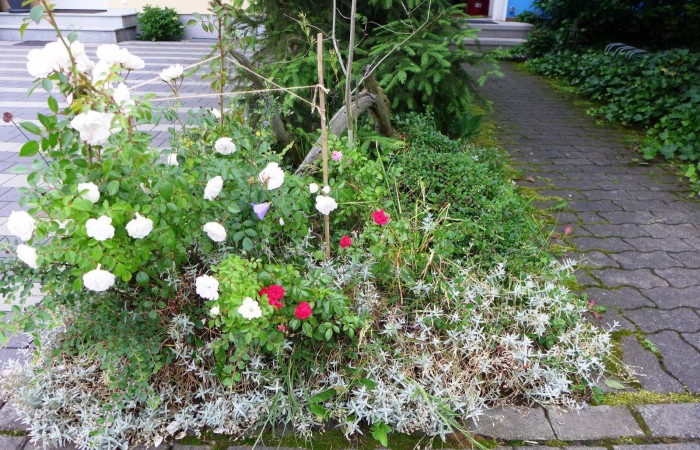 Nr.2 - Familie Voigt - Schillerstr.