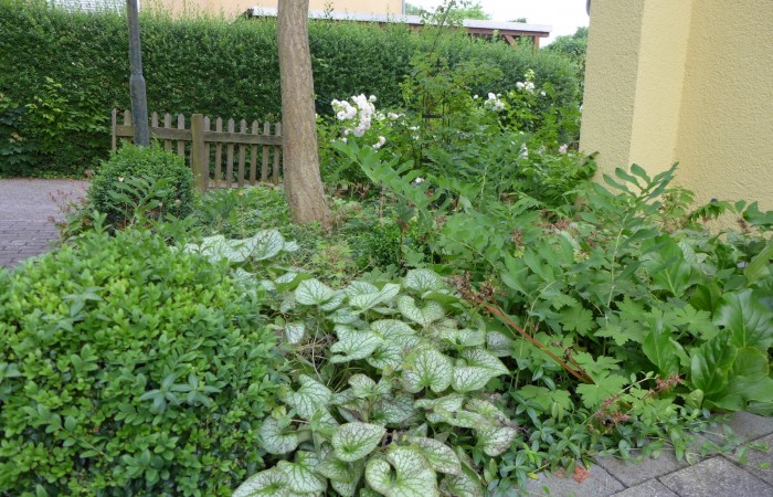 Nr.1 - Frau Stein - Adalbert-Stifter-Str.