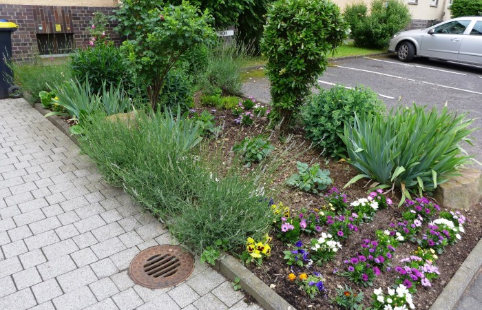 Nr.17 - Bernhard Sczekalla - Gallasiniring