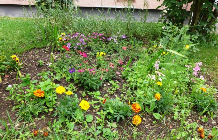 Nr. 18 - Herr Uzunca - Friedrich-Stengel-Str.