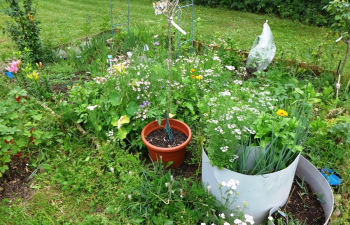 Nr.19 - Gabriele Oswald - Friedrich-Stengel-Str.