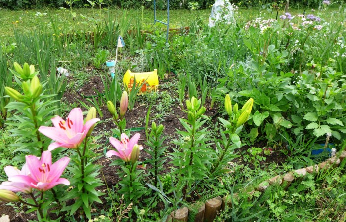 Nr.19 - Gabriele Oswald - Friedrich-Stengel-Str.