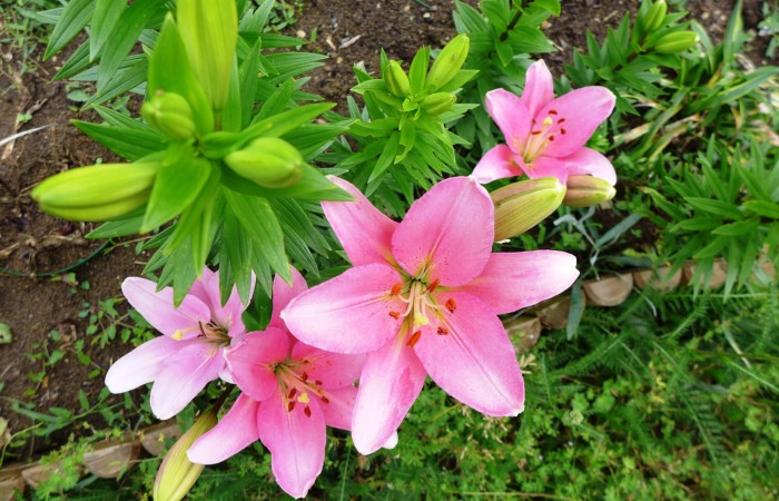 Nr.19 - Gabriele Oswald - Friedrich-Stengel-Str.