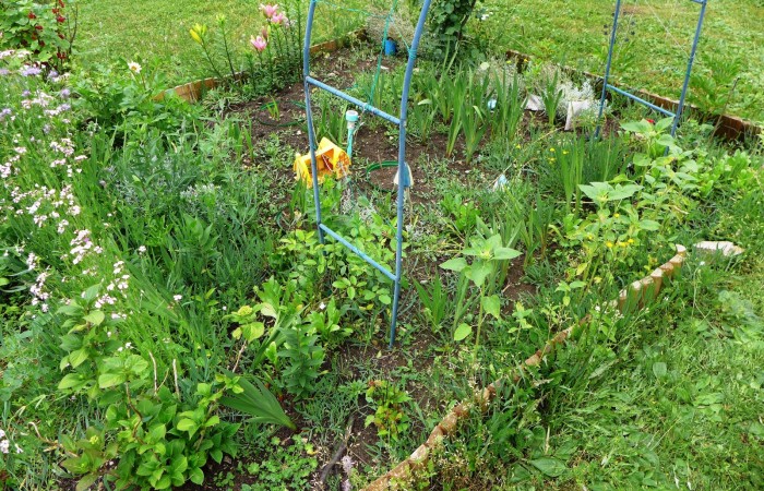 Nr.19 - Gabriele Oswald - Friedrich-Stengel-Str.