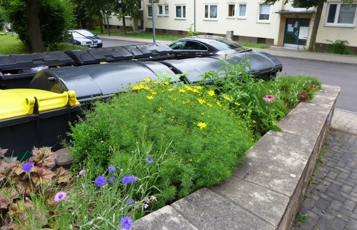 Nr.3 - Frau Hochgreef - Friedrich-Stengel-Str.