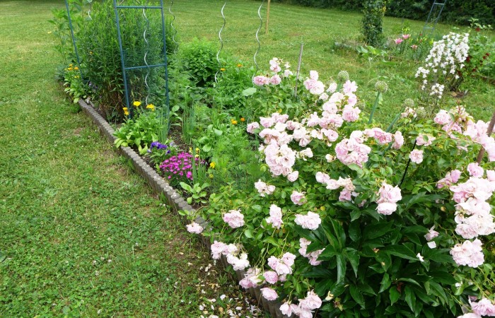 Nr.3 - Frau Hochgreef - Friedrich-Stengel-Str.