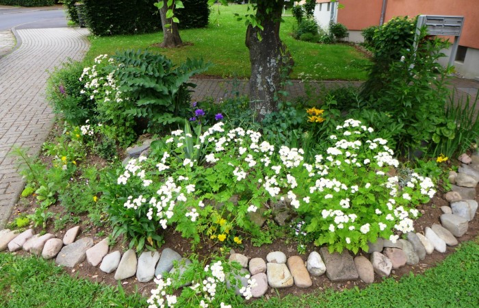 Nr.13 - Lydia Eckhard - Dr.-Kopp-Str.