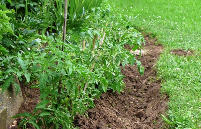 Nr.10 - Irma Gelwer - Dr.-Kopp-Str.