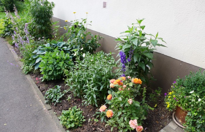 Nr.28 - Frau Mörser - Dr.-Kopp-Str.