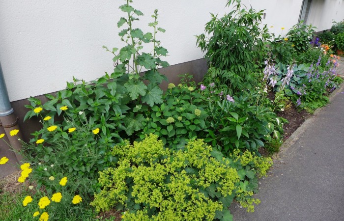 Nr.28 - Frau Mörser - Dr.-Kopp-Str.