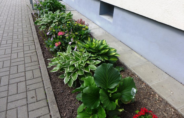 Nr.6 - Frau Bosold - Dr.-Kopp-Str.